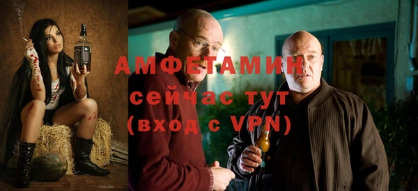 гидра Абаза